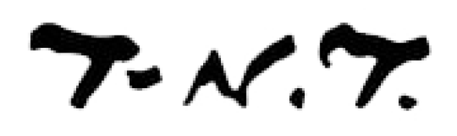 T-NT-logo-ver2