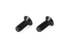 M4 serie de agarre tornillos de la placa trasera del motor - 2pcs [AirsoftPro]